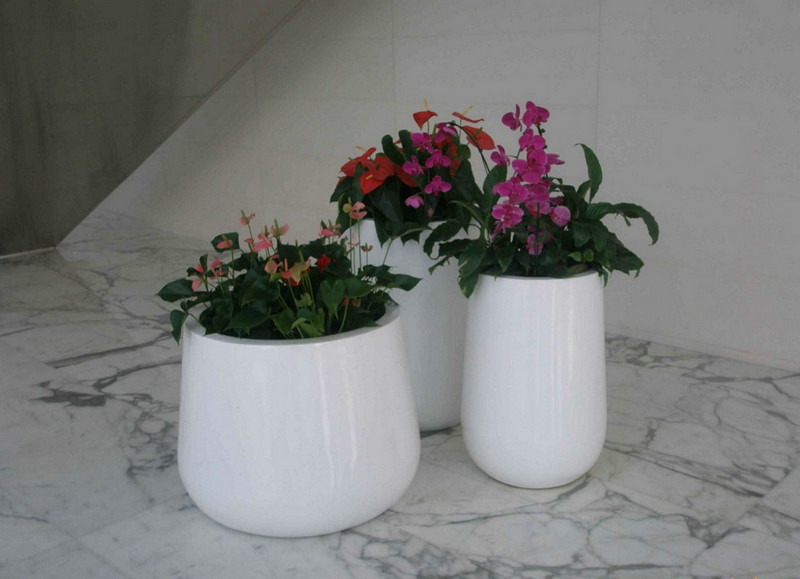 綠植租擺銷售 (2)