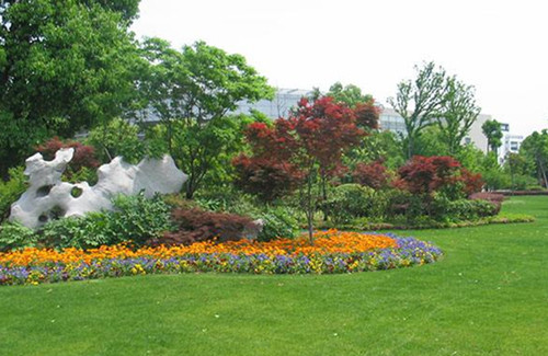 園林綠化養(yǎng)護(hù)的8項主要工作