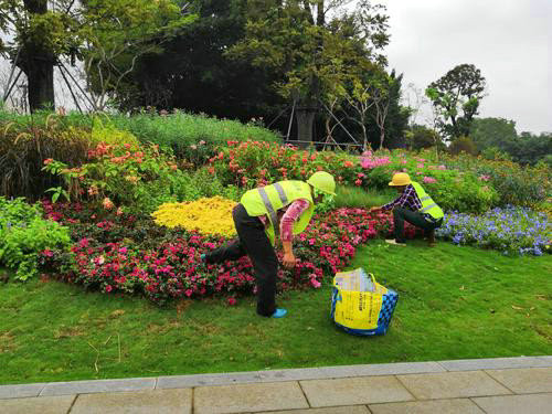園林綠化的植物八大養(yǎng)護(hù)要點