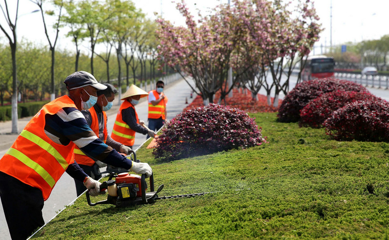 提高園林綠化養(yǎng)護(hù)管理水平的主要措施？